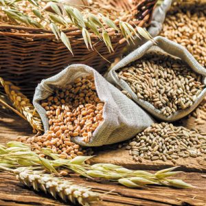 Best Types Of Whole Grains And Their Uses
